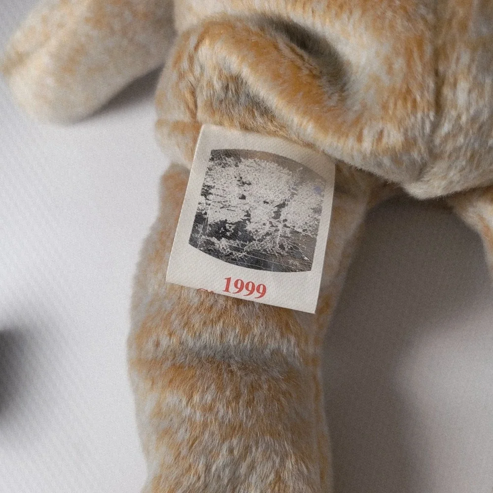 1999 Ty Beanie Baby Signature Bear w/ Tag Errors Retired 5th Gen Tush Tag Mint